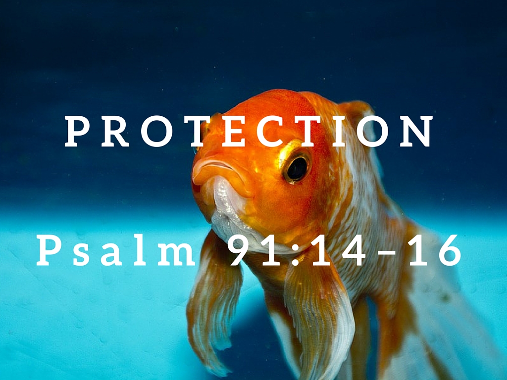 Psalm 91:14–16