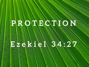 Ezekiel 34:27