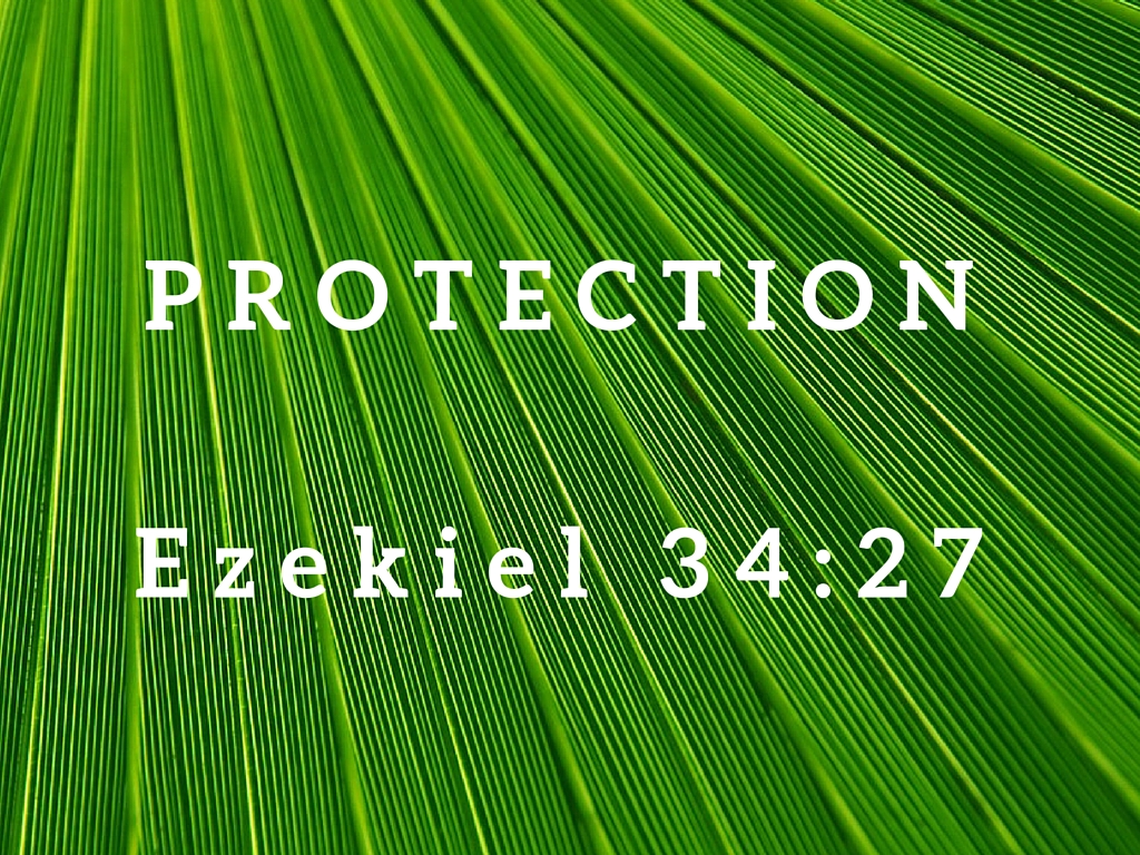 Ezekiel 34:27