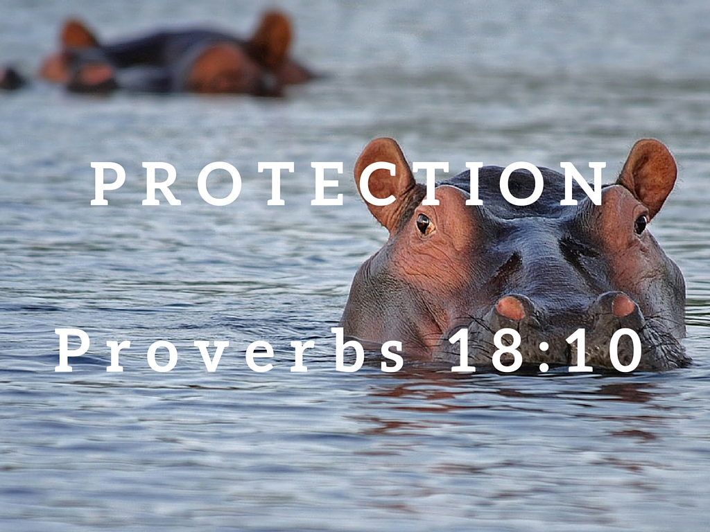 Proverbs 18:10