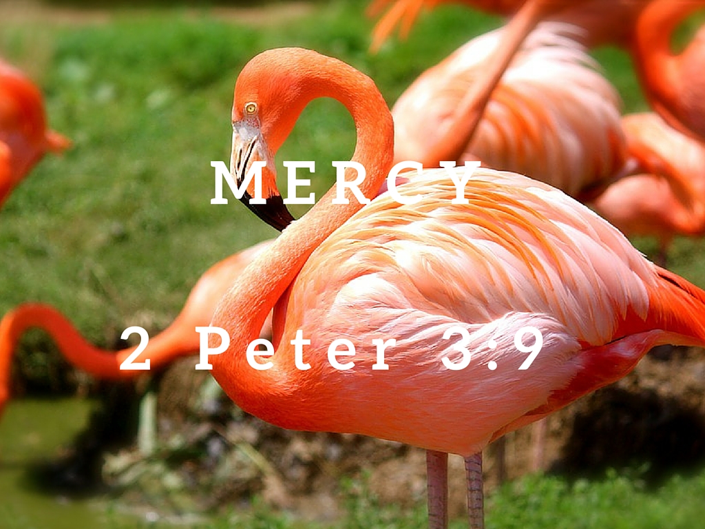 2 Peter 3:9