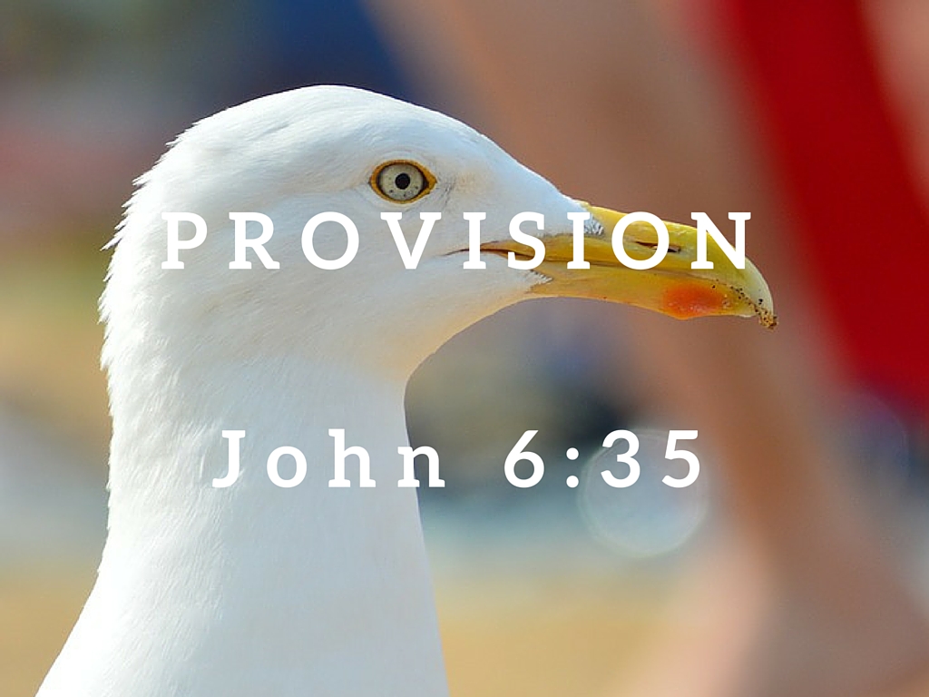 John 6:35